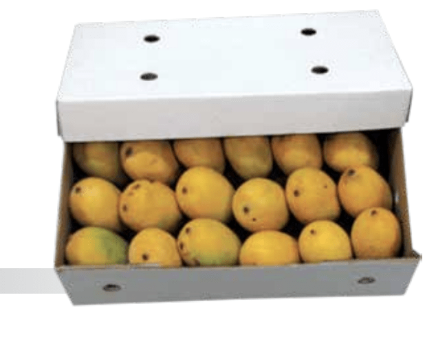 18 mangoes